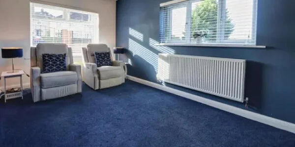 Blue Carpets