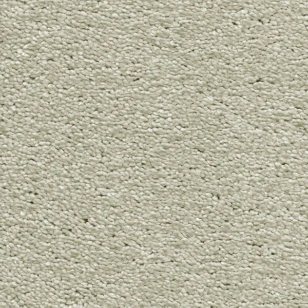 Invictus Magnificus Carpet