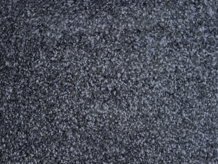 Monarch Carpet