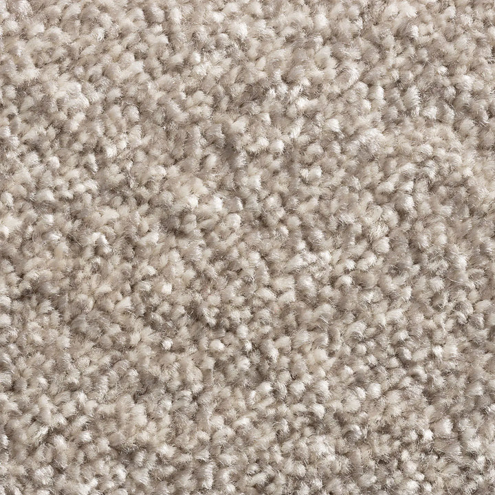 Prestige Carpet