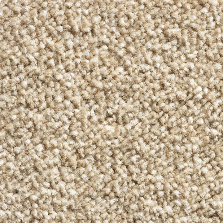 Saxony Prestige Custard Cream Carpet