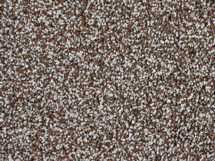 Ritz Carpet