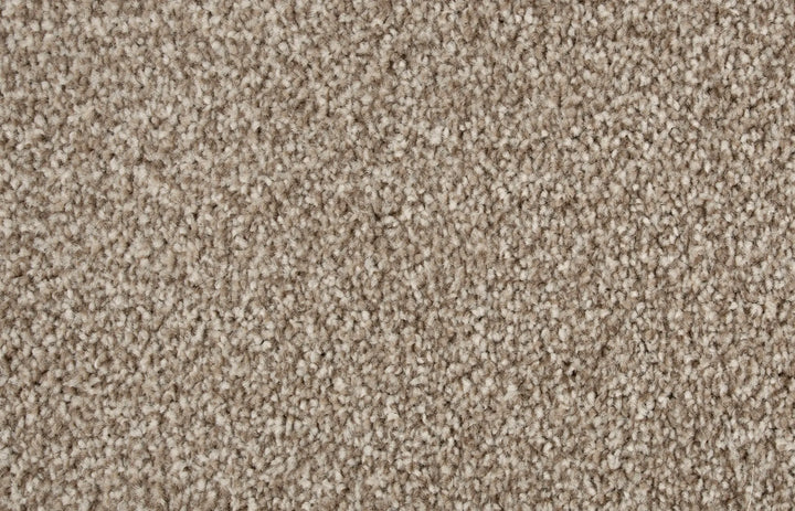 Splendour Carpet