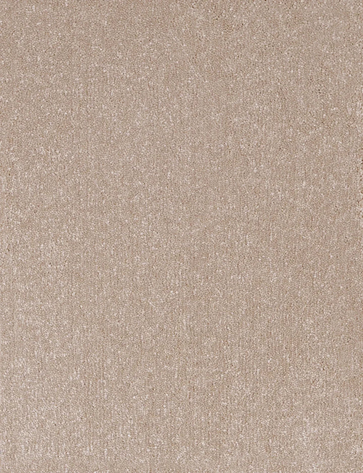 Buy rome carpets in UK