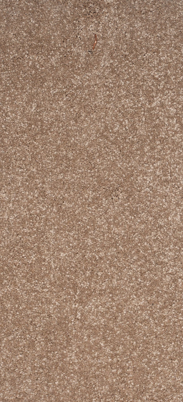 Buy wisteria carpets in UK