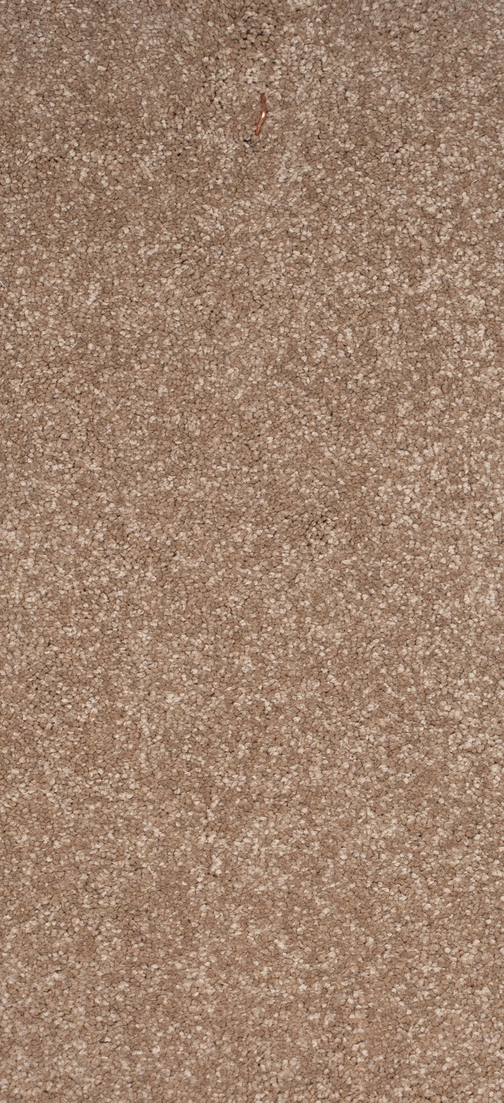 Buy wisteria carpets in UK