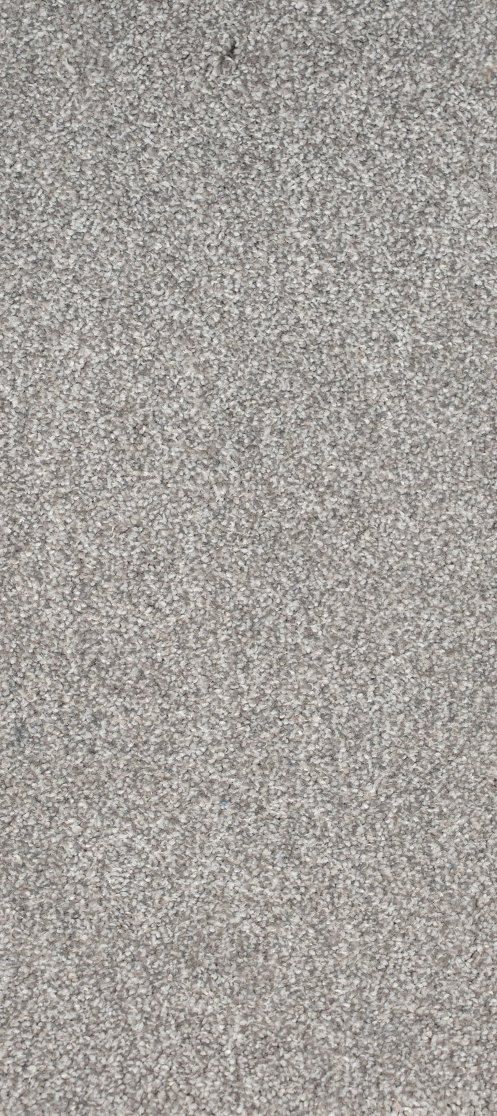 Buy wisteria carpets in UK